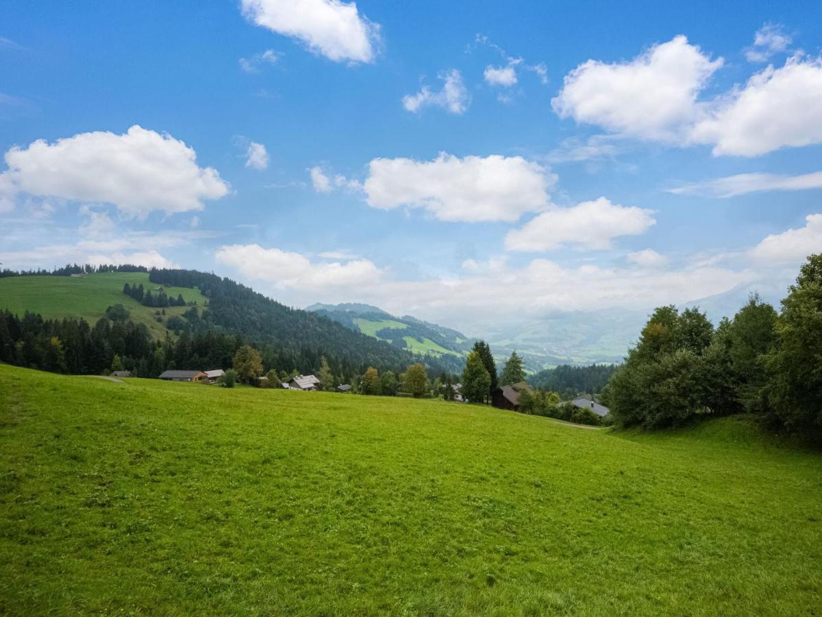 Vintage Holiday Home In Vorarlberg Near Ski Area Schwarzenberg im Bregenzerwald Kültér fotó